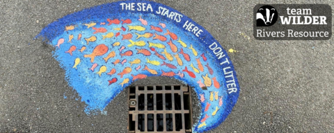 Colourful artwork near drain saying 'the sea starts here, don't litter'