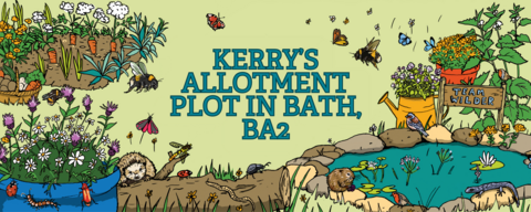 Wildlife gardening competition Kerry allotment plot BA2