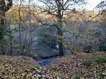 Manor Woods Valley walk with trees, meadows and a river in Winter