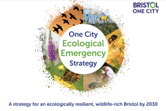 Ecological Emergency Strategy cover