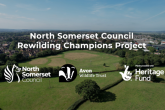 North Somerset Council Rewilding Champions Project