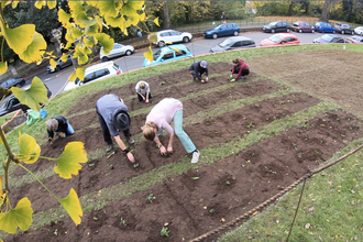 West Bristol Climate Action meadow planting