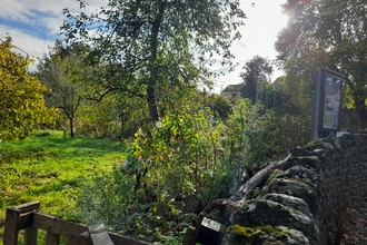 Thornbury Orchard Group in autumn sunshine