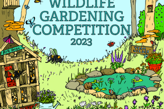Wildlife Gardening competition 2023 square