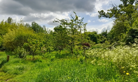 Emersons Green Park orchard