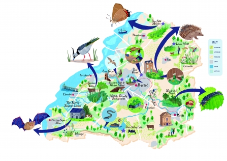 Map of a nature recovery network for Avon