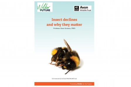 Action for Insects report from cover with background