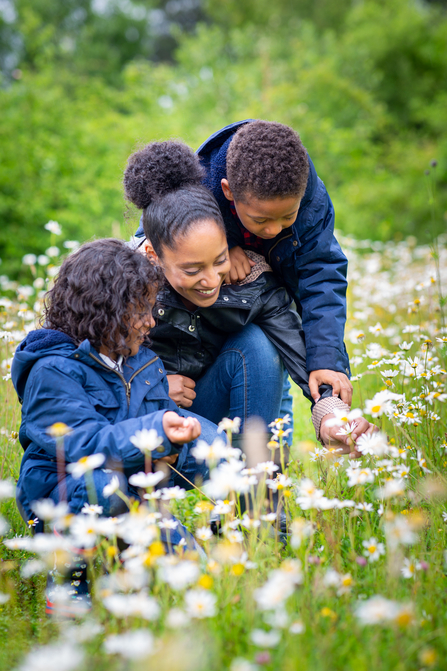 A family bending down in a meadow to spot a butterfly