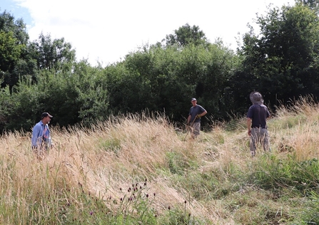 Volunteers in field at Dundry Slopes