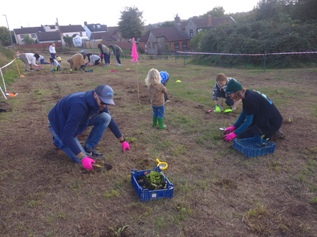 People planting a wildflower meadow at Siston Common