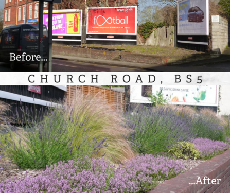 St George in Bloom Billboards before and after