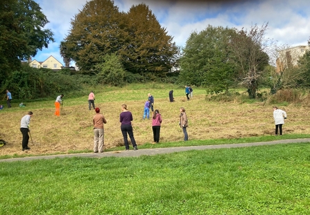 Manor Woods Valley Group meadow with volunteers