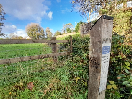 Wildflower meadow sign at Thornbury Orchard Group