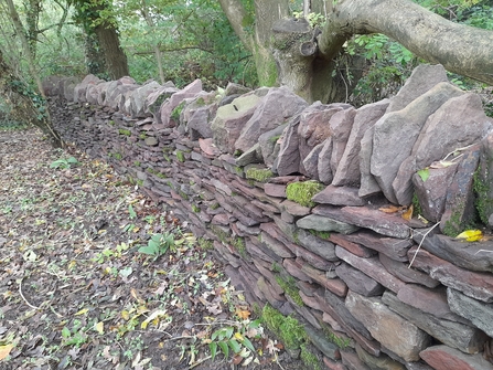 Friends Of Emersons Green Park stone wall