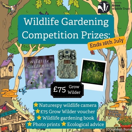 Wildlife Garden competition prizes square