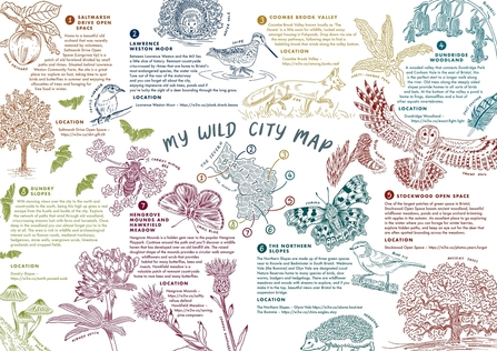 My Wild City Map, by Illustrator Persephone Coelho