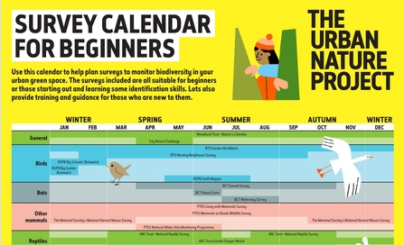 Survey Calendar for Beginners (c) Natural History Museum London, illustrated by Lizzie Lomax