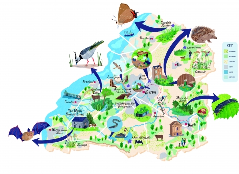 Map of a nature recovery network for Avon