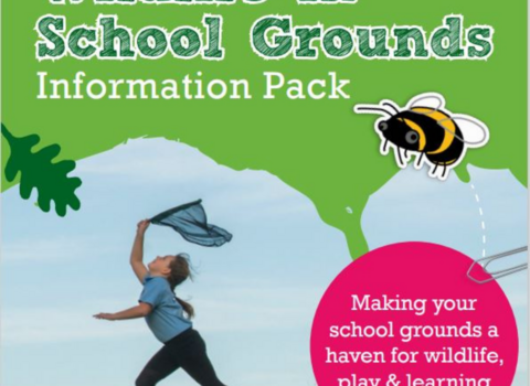 "Wildlife in School Grounds" Information Pack