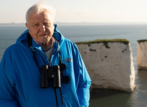 Sir David Attenborough introduces the Wild Isles series at dawn at Old Harry's Rocks, Dorset 