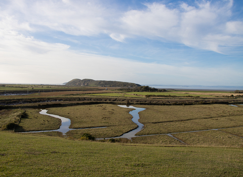 view out over the Salt Marsh at Walborough Nature Reserve