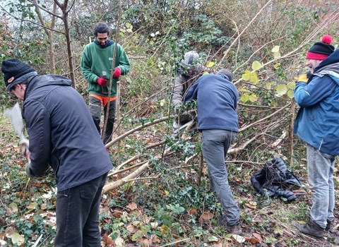 Wild Cats (Wild City Action Team) Volunteers, Hedgelaying, Coombe Brook Valley (c) Ainsley Dwyer