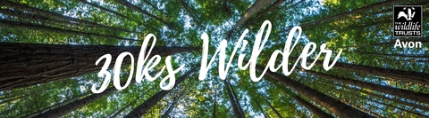 30ks wilder with tree background