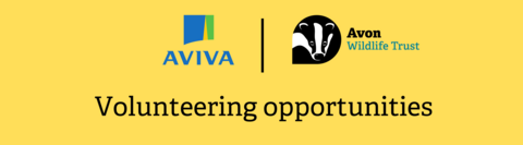 Aviva website banner