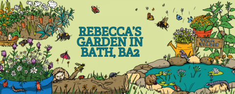 Wildlife gardening competition Rebecca garden food, BA2