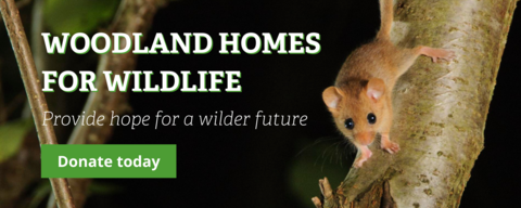 Woodland Homes for Wildlife Appeal