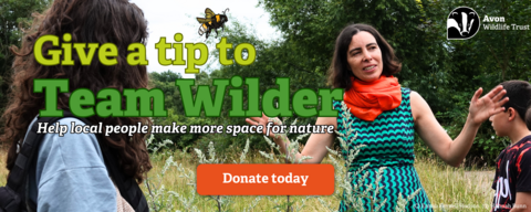 Give a tip to Team Wilder - Help local people make more space for nature