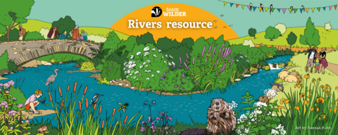 River illustration with people and wildlife - beaver, kingfisher, water vole