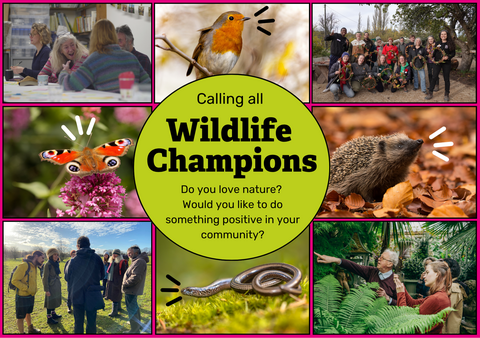 Wildlife Champions