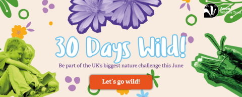 30 Days Wild! Be part of the UK's biggest nature challenge this June - Let's go wild!