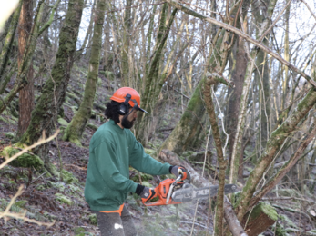 Ainsley Dwyer chainsawing