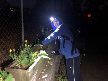 Bulbtober planting at night