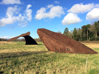 The whales at Bennett's Patch