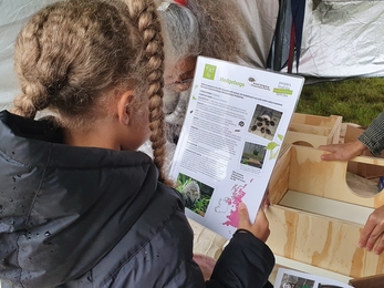 Building hedgehog houses with children, My Wild City