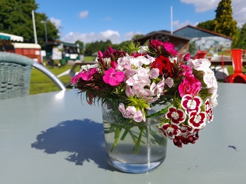 Redcatch Community Garden flowers on table 1