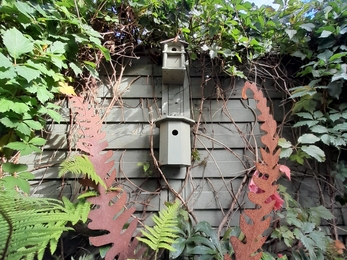 Grenville_Johnson_BS5_St_George_in_Bloom_Back_Garden_20_Birds_2500px