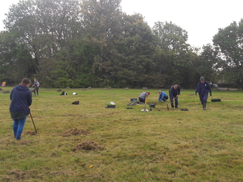 Wildflower Meadow Whiteshill Common Project 1