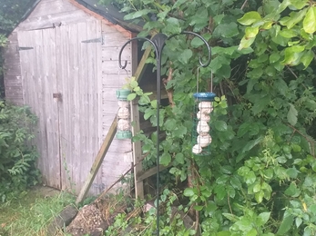 Birdfeeders in BS9 garden