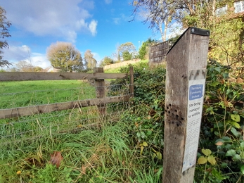 Wildflower meadow sign at Thornbury Orchard Group