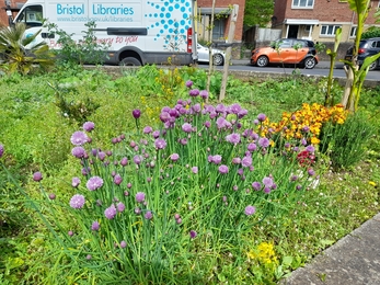 St Pauls Learning Centre Community Garden