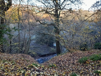Manor Woods Valley walk with trees, meadows and a river in Winter