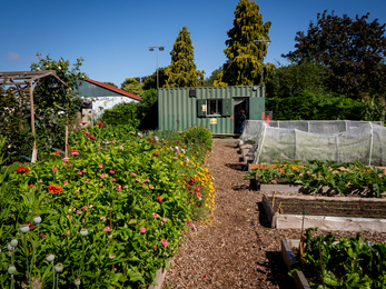 Community garden in BS4 Redcatch Community Garden