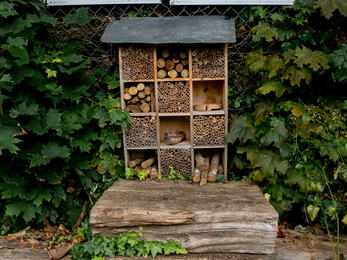 Community space in Bath Alice Park bug hotel