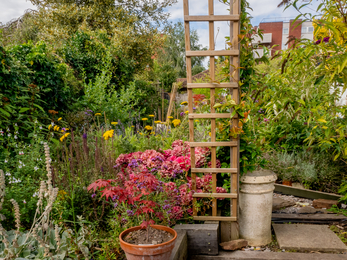 Individual wildlife garden in BS16