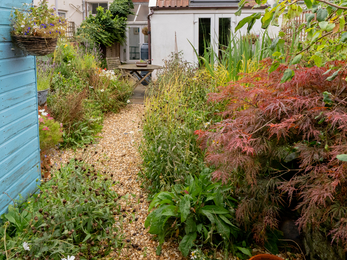 Individual wildlife garden in BS4