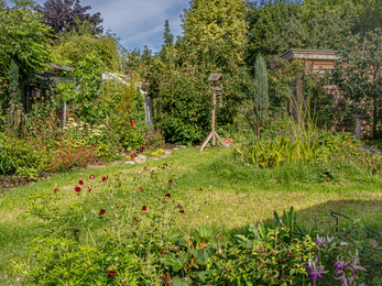 Individual wildlife garden in BS9